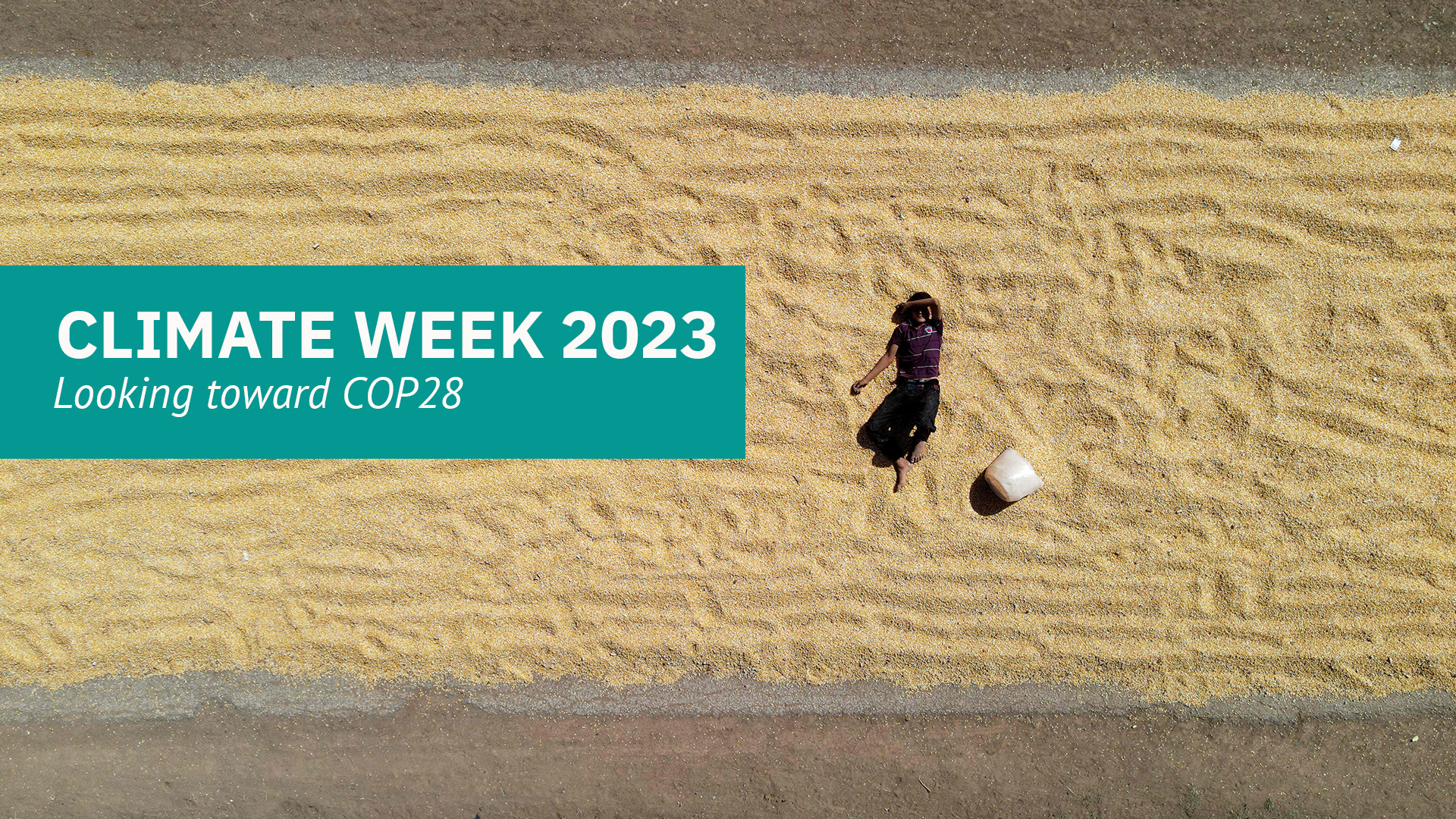 MEI Climate Week 2023: Looking Toward COP28 | Middle East Institute